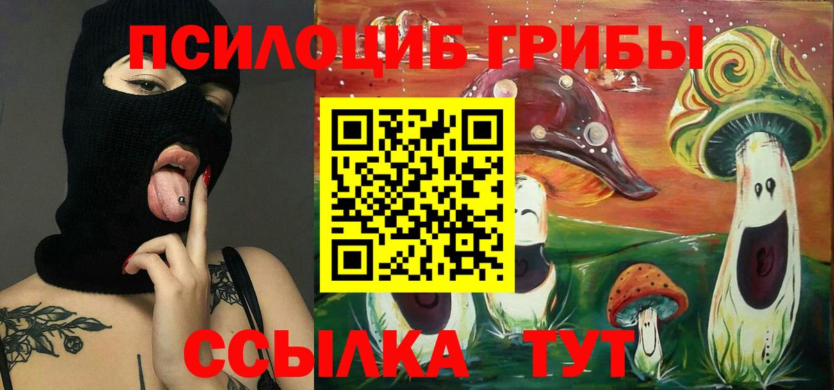 Печора  Псилоцибиновые грибы Psilocybe  Галлюциногенные грибы Magic Shrooms  Вход с VPN 