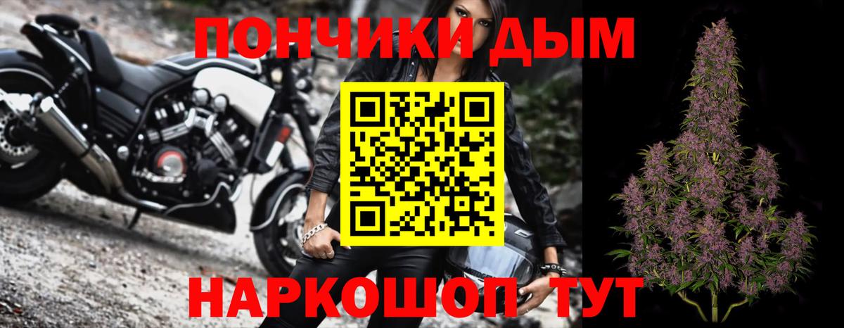 Шишки марихуана план  Шишки марихуана тримм  Вход с VPN  Печора  Бошки Шишки SATIVA & INDICA 